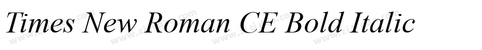Times New Roman CE Bold Italic字体转换